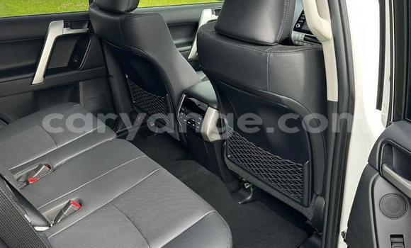 Buy Used Toyota Land Cruiser Prado White Car in Windhoek in Namibia Buy Used Toyota Land Cruiser Prado White Car in Windhoek in Namibia