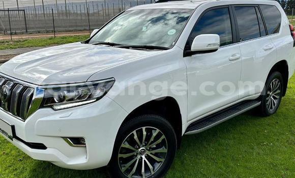 Buy Used Toyota Land Cruiser Prado White Car in Windhoek in Namibia Buy Used Toyota Land Cruiser Prado White Car in Windhoek in Namibia