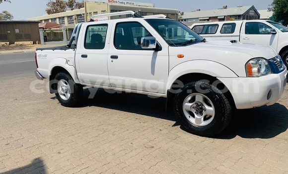 Buy Used Nissan NP 300 White Car in Gobabis in Omaheke