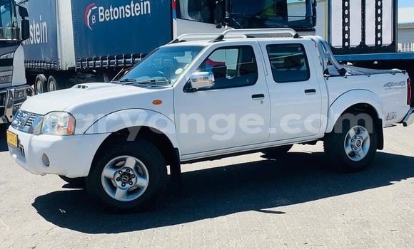 Buy Used Nissan NP 300 White Car in Gobabis in Omaheke Buy Used Nissan NP 300 White Car in Gobabis in Omaheke