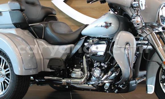 Buy Used Harley Davidson Ultra Other Bike in Windhoek in Namibia Buy Used Harley Davidson Ultra Other Bike in Windhoek in Namibia