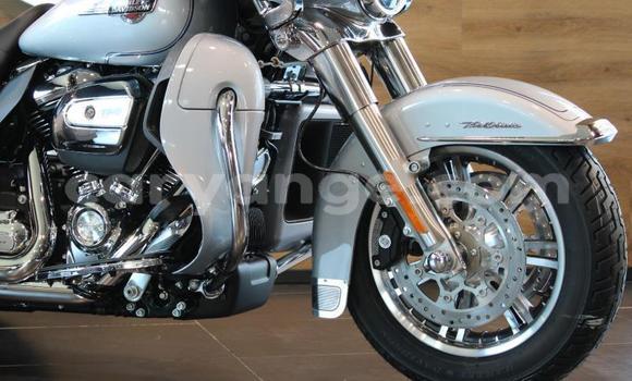 Buy Used Harley Davidson Ultra Other Bike in Windhoek in Namibia Buy Used Harley Davidson Ultra Other Bike in Windhoek in Namibia