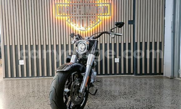 Buy Used Harley Davidson Road King Other Bike in Windhoek in Namibia Buy Used Harley Davidson Road King Other Bike in Windhoek in Namibia