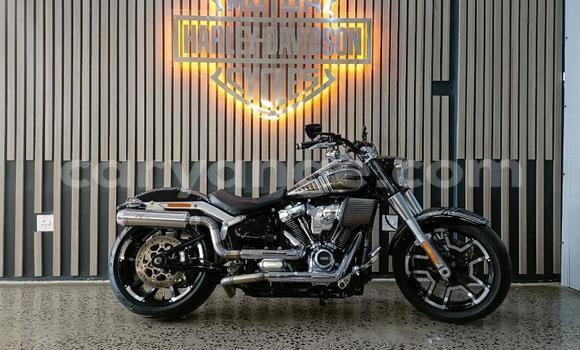 Buy Used Harley Davidson Road King Other Bike in Windhoek in Namibia Buy Used Harley Davidson Road King Other Bike in Windhoek in Namibia
