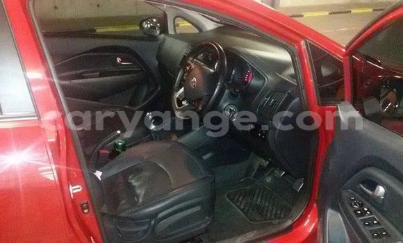 Buy Used Kia Carens Red Car in Windhoek in Namibia Buy Used Kia Carens Red Car in Windhoek in Namibia
