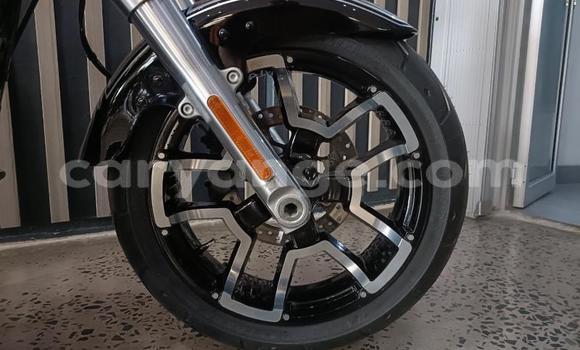 Buy Used Harley Davidson Road King Other Bike in Windhoek in Namibia Buy Used Harley Davidson Road King Other Bike in Windhoek in Namibia