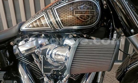 Buy Used Harley Davidson Road King Other Bike in Windhoek in Namibia Buy Used Harley Davidson Road King Other Bike in Windhoek in Namibia