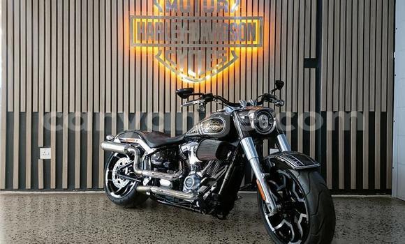 Buy Used Harley Davidson Road King Other Bike in Windhoek in Namibia Buy Used Harley Davidson Road King Other Bike in Windhoek in Namibia