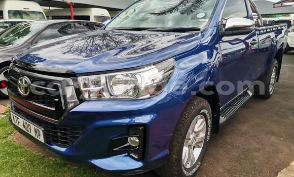 Buy Used Toyota Hilux Blue Car in Grootfontein in Namibia