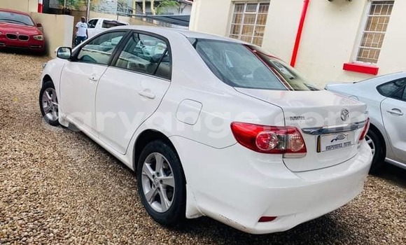 Buy Used Toyota Corolla White Car in Windhoek in Namibia