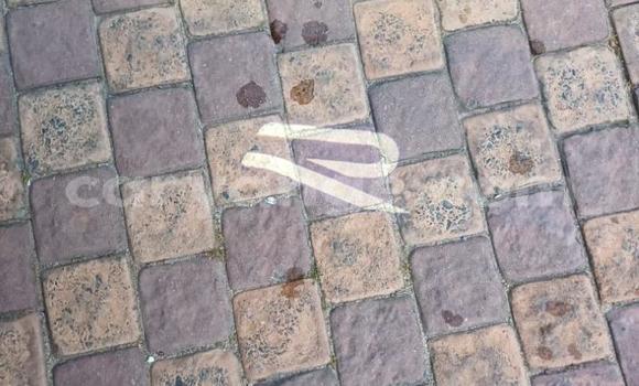 Acheter Occasion Voiture Volkswagen Tiguan Bleu à Karasburg, Karas Acheter Occasion Voiture Volkswagen Tiguan Bleu à Karasburg, Karas