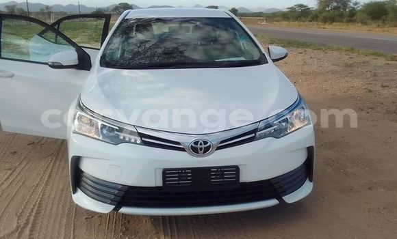 Buy Used Toyota Corolla Other Car in Windhoek in Namibia