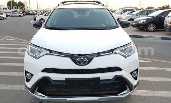 Acheter Import Voiture Toyota RAV4 Blanc à Import - Dubai, Namibie Acheter Import Voiture Toyota RAV4 Blanc à Import - Dubai, Namibie