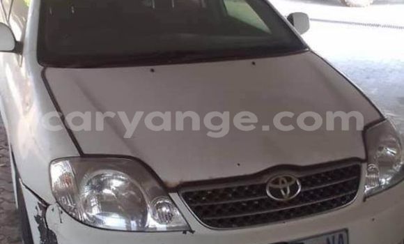 Buy Used Toyota Runx White Car in Henties Bay in Erongo