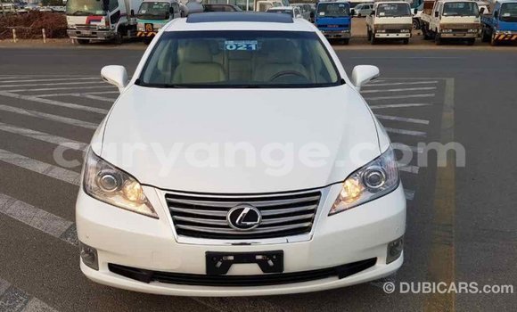 Acheter Import Voiture Lexus ES Blanc à Import - Dubai, Namibie Acheter Import Voiture Lexus ES Blanc à Import - Dubai, Namibie