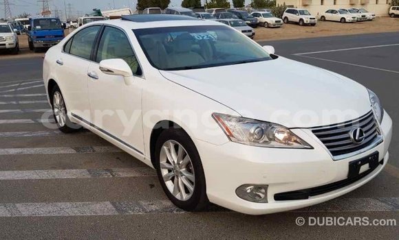 Acheter Import Voiture Lexus ES Blanc à Import - Dubai, Namibie Acheter Import Voiture Lexus ES Blanc à Import - Dubai, Namibie