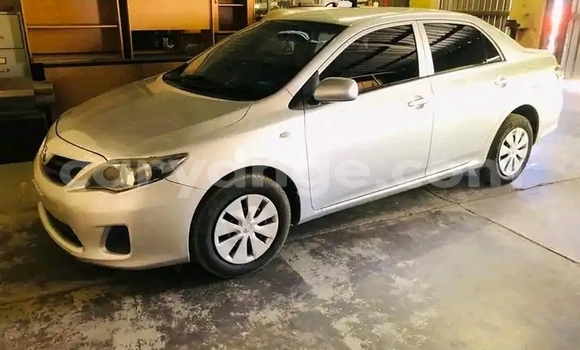 Acheter Occasion Voiture Toyota Corolla Gris à Windhoek, Namibie Acheter Occasion Voiture Toyota Corolla Gris à Windhoek, Namibie