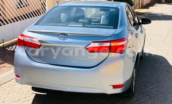 Acheter Occasion Voiture Toyota Corolla Autre à Windhoek, Namibie