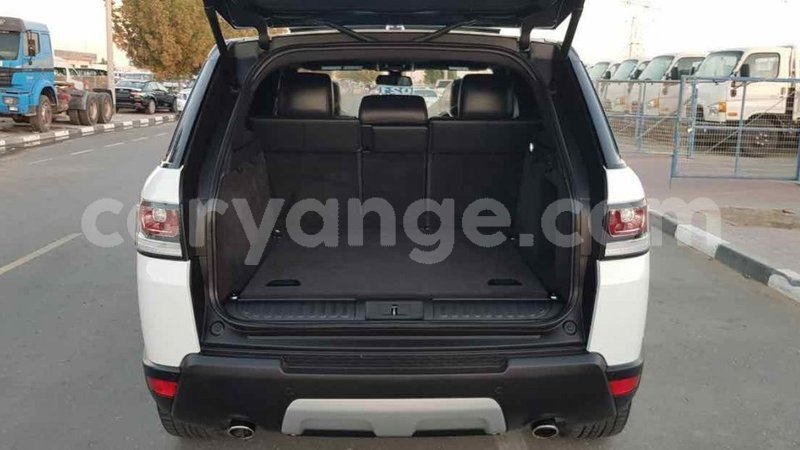 Big with watermark abc666d5 0f4f 4c7e b8d8 b359264d1395