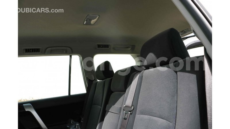 Big with watermark ef10d296 ce11 4148 884c 0ee3cf5b5190