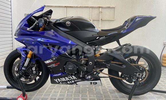 Buy Used Yamaha YZF Blue Bike in Windhoek in Namibia
