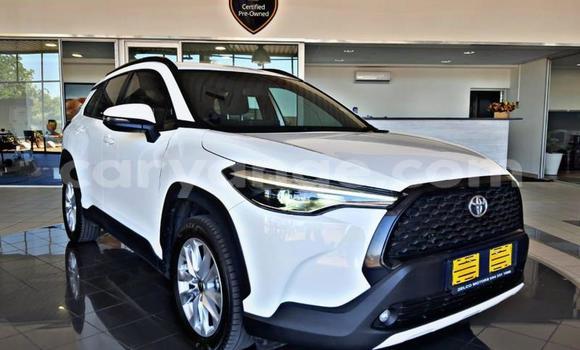 Acheter Occasion Voiture Toyota Corolla Cross Blanc à Gobabis, Omaheke