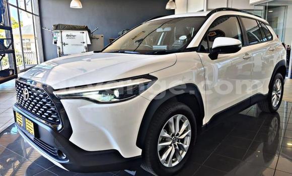 Acheter Occasion Voiture Toyota Corolla Cross Blanc à Gobabis, Omaheke Acheter Occasion Voiture Toyota Corolla Cross Blanc à Gobabis, Omaheke