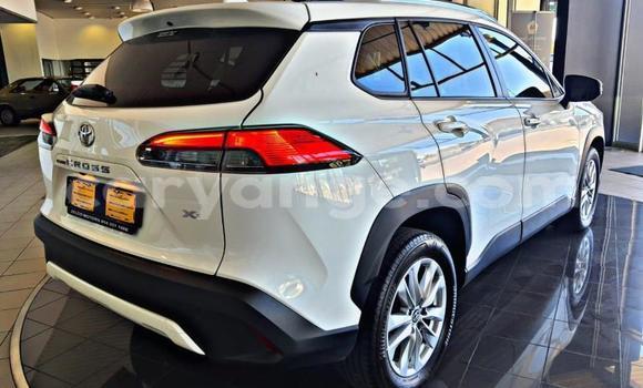 Acheter Occasion Voiture Toyota Corolla Cross Blanc à Gobabis, Omaheke Acheter Occasion Voiture Toyota Corolla Cross Blanc à Gobabis, Omaheke