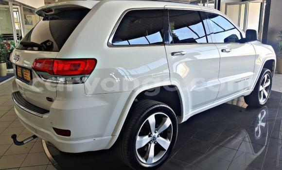 Acheter Occasion Voiture Jeep Grand Cherokee Blanc à Gobabis, Omaheke Acheter Occasion Voiture Jeep Grand Cherokee Blanc à Gobabis, Omaheke