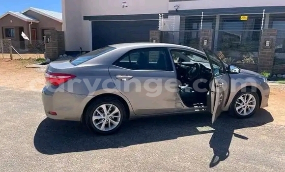 Buy Used Toyota Corolla Other Car in Windhoek in Namibia
