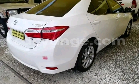 Buy Used Toyota Corolla White Car in Windhoek in Namibia Buy Used Toyota Corolla White Car in Windhoek in Namibia