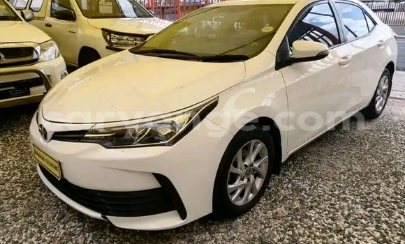 Buy Used Toyota Corolla White Car in Windhoek in Namibia Buy Used Toyota Corolla White Car in Windhoek in Namibia