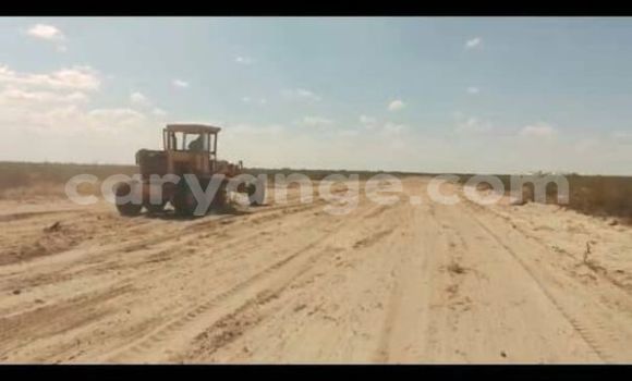 Buy Used Acura CSX Other Car in Windhoek in Namibia Buy Used Acura CSX Other Car in Windhoek in Namibia