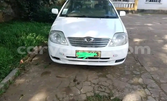 Acheter Occasion Voiture Honda FIT Autre à Windhoek, Namibie Acheter Occasion Voiture Honda FIT Autre à Windhoek, Namibie