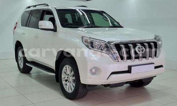Buy Used Toyota Land Cruiser Prado White Car in Gobabis in Omaheke Buy Used Toyota Land Cruiser Prado White Car in Gobabis in Omaheke