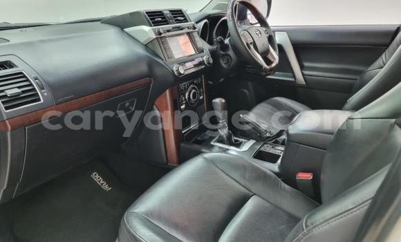 Buy Used Toyota Land Cruiser Prado White Car in Gobabis in Omaheke Buy Used Toyota Land Cruiser Prado White Car in Gobabis in Omaheke
