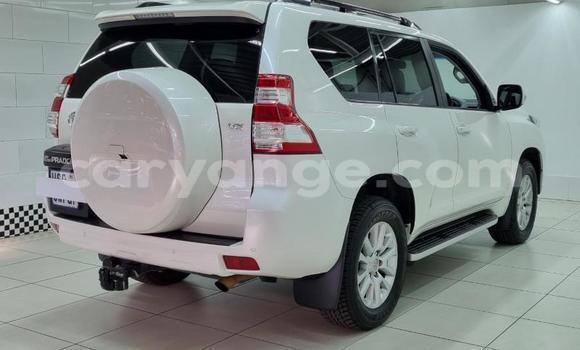 Buy Used Toyota Land Cruiser Prado White Car in Gobabis in Omaheke Buy Used Toyota Land Cruiser Prado White Car in Gobabis in Omaheke