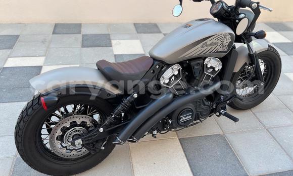 Buy Used Indian Scout Silver Bike in Windhoek in Namibia