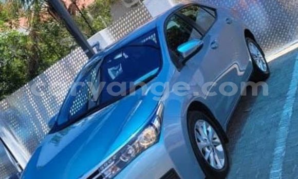 Buy Used Toyota Corolla Other Car in Grootfontein in Namibia