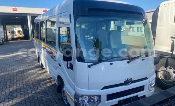 Buy Used Toyota Coaster White Car in Windhoek in Namibia Buy Used Toyota Coaster White Car in Windhoek in Namibia