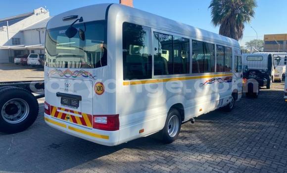 Buy Used Toyota Coaster White Car in Windhoek in Namibia Buy Used Toyota Coaster White Car in Windhoek in Namibia