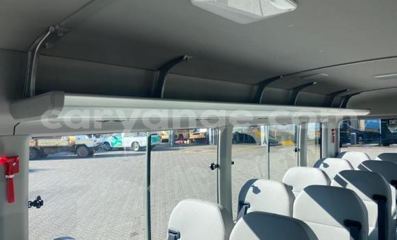 Buy Used Toyota Coaster White Car in Windhoek in Namibia Buy Used Toyota Coaster White Car in Windhoek in Namibia