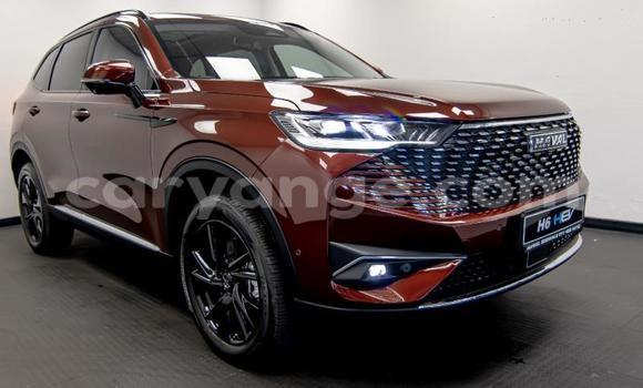Buy Used Haval H6 Other Car in Windhoek in Namibia Buy Used Haval H6 Other Car in Windhoek in Namibia