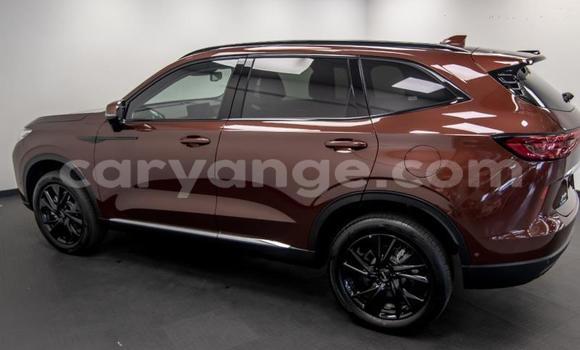 Buy Used Haval H6 Other Car in Windhoek in Namibia Buy Used Haval H6 Other Car in Windhoek in Namibia
