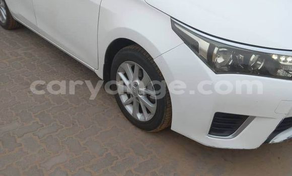 Buy Used Toyota Corolla Other Car in Windhoek in Namibia