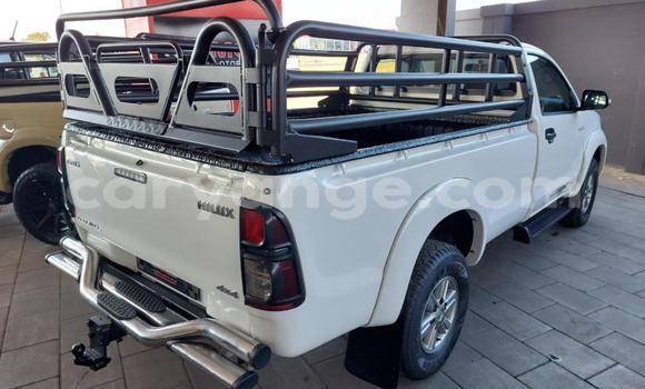 Buy Used Toyota Hilux White Car in Windhoek in Namibia Buy Used Toyota Hilux White Car in Windhoek in Namibia