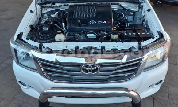 Buy Used Toyota Hilux White Car in Windhoek in Namibia Buy Used Toyota Hilux White Car in Windhoek in Namibia