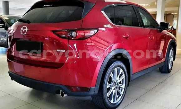 Buy Used Mazda CX–5 Red Car in Windhoek in Namibia Buy Used Mazda CX–5 Red Car in Windhoek in Namibia
