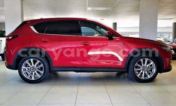 Buy Used Mazda CX–5 Red Car in Windhoek in Namibia Buy Used Mazda CX–5 Red Car in Windhoek in Namibia