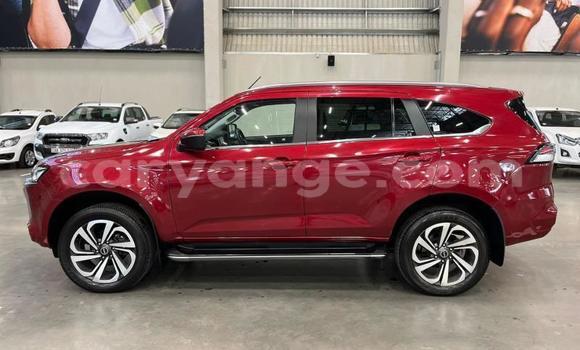 Buy Used Isuzu MU-X Red Car in Windhoek in Namibia Buy Used Isuzu MU-X Red Car in Windhoek in Namibia